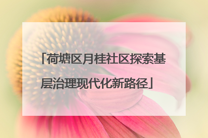 荷塘区月桂社区探索基层治理现代化新路径