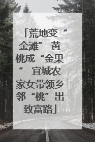 荒地变“金滩” 黄桃成“金果” 宜城农家女带领乡邻“桃”出致富路