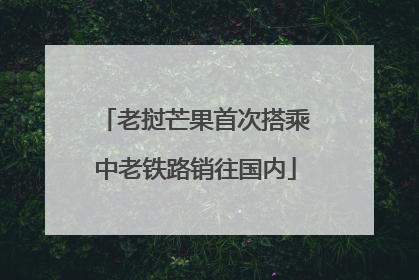 老挝芒果首次搭乘中老铁路销往国内