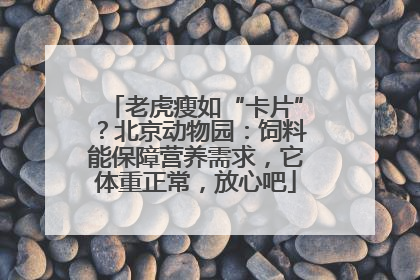 老虎瘦如“卡片”？北京动物园：饲料能保障营养需求，它体重正常，放心吧