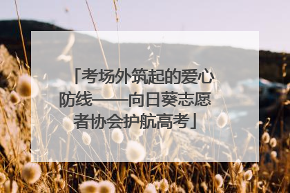 考场外筑起的爱心防线——向日葵志愿者协会护航高考