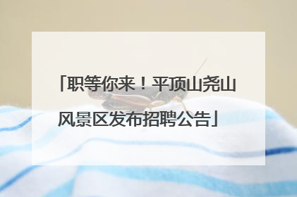 职等你来！平顶山尧山风景区发布招聘公告