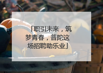 职引未来，筑梦青春，普陀这场招聘助乐业