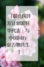 联合国开发计划署驻华代表：与中国同行 促万物共生