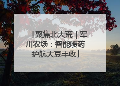 聚焦北大荒｜军川农场：智能喷药护航大豆丰收