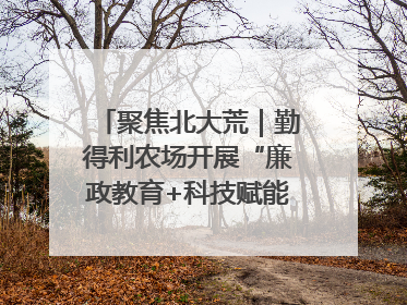 聚焦北大荒｜勤得利农场开展“廉政教育+科技赋能”主题党日活动