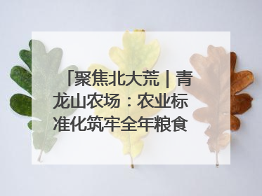 聚焦北大荒｜青龙山农场：农业标准化筑牢全年粮食安全根基