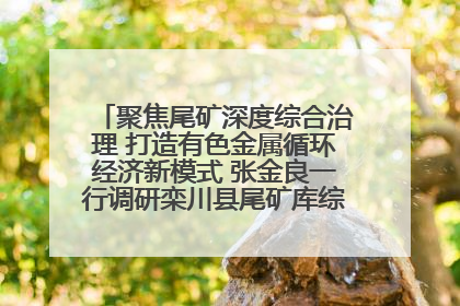 聚焦尾矿深度综合治理 打造有色金属循环经济新模式 张金良一行调研栾川县尾矿库综合治理工作