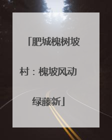 肥城槐树坡村：槐坡风动绿藤新