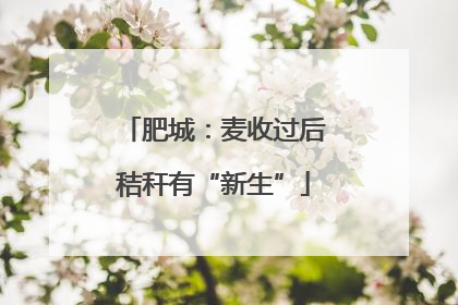 肥城：麦收过后秸秆有“新生”