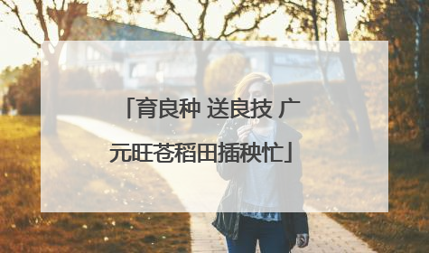 育良种 送良技 广元旺苍稻田插秧忙