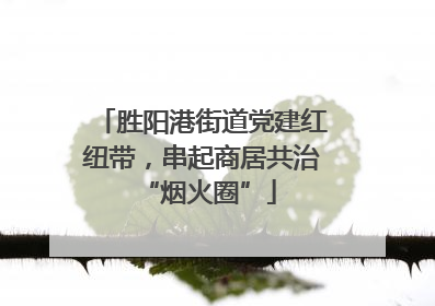 胜阳港街道党建红纽带，串起商居共治 “烟火圈”