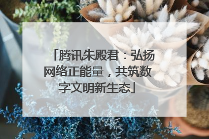 腾讯朱殿君：弘扬网络正能量，共筑数字文明新生态
