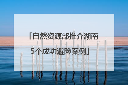 自然资源部推介湖南5个成功避险案例