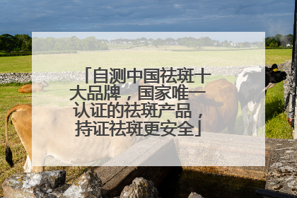 自测中国祛斑十大品牌，国家唯一认证的祛斑产品，持证祛斑更安全