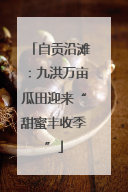 自贡沿滩：九洪万亩瓜田迎来“甜蜜丰收季”