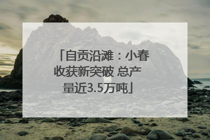 自贡沿滩：小春收获新突破 总产量近3.5万吨