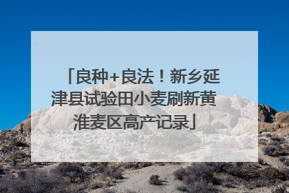 良种+良法！新乡延津县试验田小麦刷新黄淮麦区高产记录