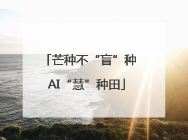 芒种不“盲”种 AI“慧”种田