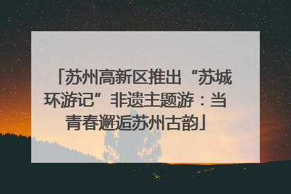 苏州高新区推出“苏城环游记”非遗主题游：当青春邂逅苏州古韵