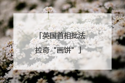 英国首相批法拉奇“画饼”