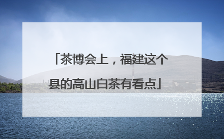 茶博会上,福建这个县的高山白茶有看点
