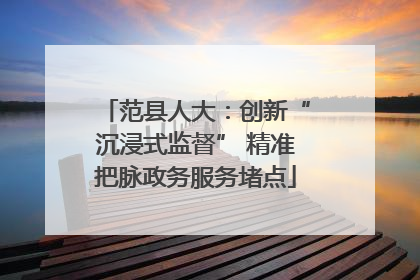 范县人大：创新“沉浸式监督” 精准把脉政务服务堵点