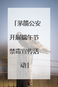 茅箭公安开展端午节禁毒宣传活动