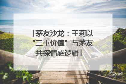茅友沙龙：王莉以“三重价值”与茅友共探情感逻辑