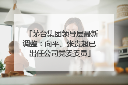 茅台集团领导层最新调整：向平、张贵超已出任公司党委委员