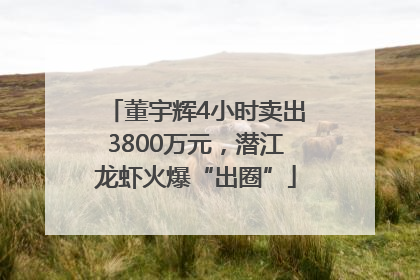 董宇辉4小时卖出3800万元，潜江龙虾火爆“出圈”