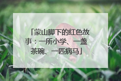 蒙山脚下的红色故事：一所小学、一盏茶碗、一匹病马