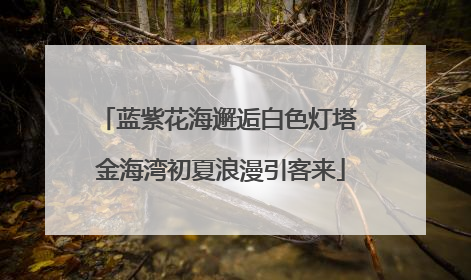 蓝紫花海邂逅白色灯塔 金海湾初夏浪漫引客来
