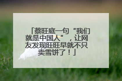 蔡旺庭一句“我们就是中国人”，让网友发现旺旺早就不只卖雪饼了！