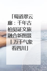 蜀道翠云廊：千年古柏见证文旅融合新图景丨万千气象看四川