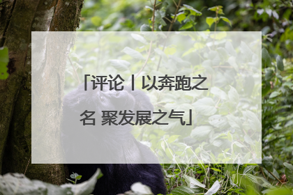 评论丨以奔跑之名 聚发展之气