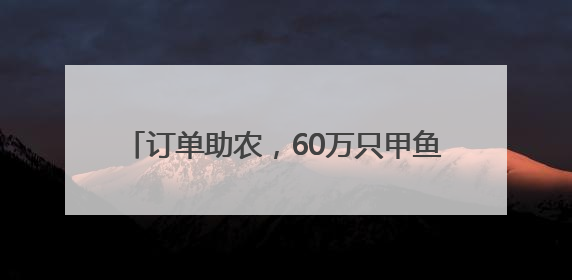 订单助农，60万只甲鱼养殖订单助力乡村振兴