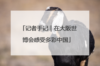 记者手记｜在大阪世博会感受多彩中国