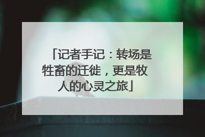 记者手记：转场是牲畜的迁徙，更是牧人的心灵之旅