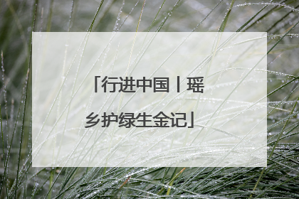 行进中国丨瑶乡护绿生金记