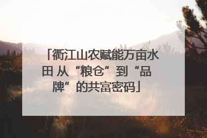 衢江山农赋能万亩水田 从“粮仓”到“品牌”的共富密码
