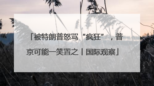 被特朗普怒骂“疯狂”，普京可能一笑置之丨国际观察