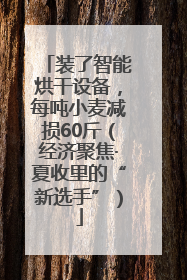 装了智能烘干设备，每吨小麦减损60斤（经济聚焦·夏收里的“新选手”）