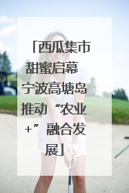 西瓜集市甜蜜启幕 宁波高塘岛推动“农业+”融合发展