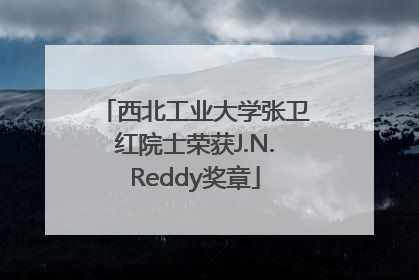 西北工业大学张卫红院士荣获J.N.Reddy奖章