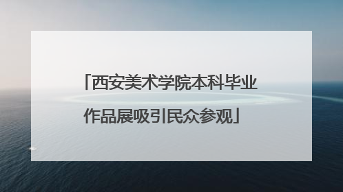 西安美术学院本科毕业作品展吸引民众参观