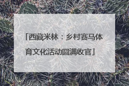西藏米林：乡村赛马体育文化活动圆满收官