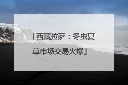 西藏拉萨：冬虫夏草市场交易火爆
