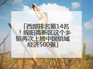 西部排名第14名！绵阳高新区这个乡镇再次上榜中国镇域经济500强