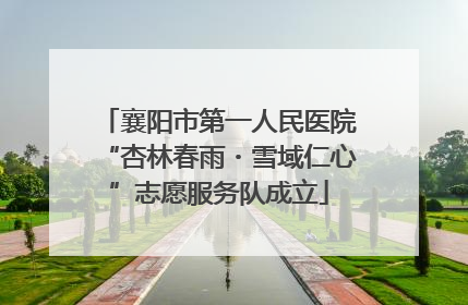襄阳市第一人民医院“杏林春雨・雪域仁心”志愿服务队成立